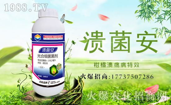 【吉裕農(nóng)業(yè)】祝大家在新的一年力身體健康,萬(wàn)事如意!