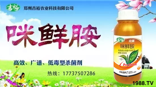 【吉裕農(nóng)業(yè)】祝大家在新的一年力身體健康,萬(wàn)事如意!