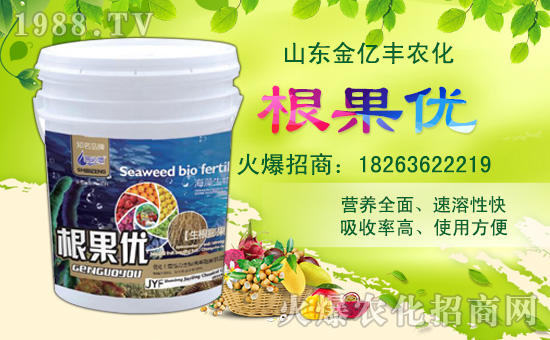 【金億豐】祝全國(guó)朋友,新年快樂(lè),豬年大吉,身體健康,財(cái)源廣進(jìn)