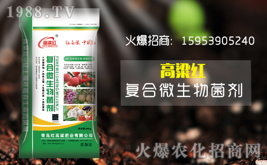 【青島紅高粱】祝大家在新的一年里財源滾滾來!