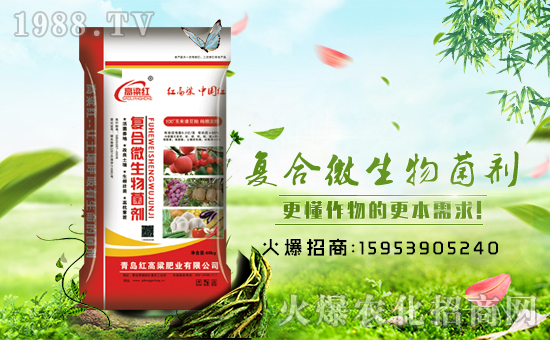 【青島紅高粱】祝大家在新的一年里財源滾滾來!