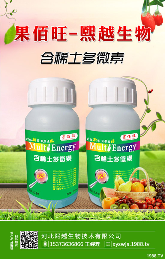 萵筍什么時候種植,萵筍種植要點有哪些?
