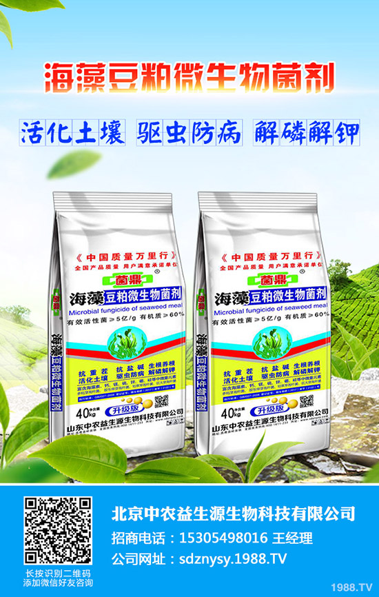 2020年農(nóng)村適合種植什么果樹(shù)?更賺錢(qián)效益高!品種推薦了解一下!