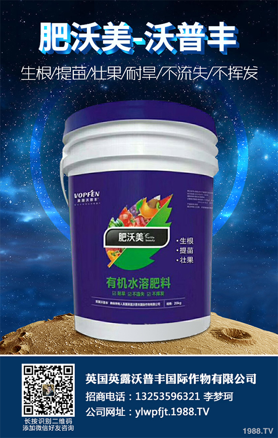 長期低溫寡照,蔬菜長勢差該如何解決?冬季大棚補光的幾項措施