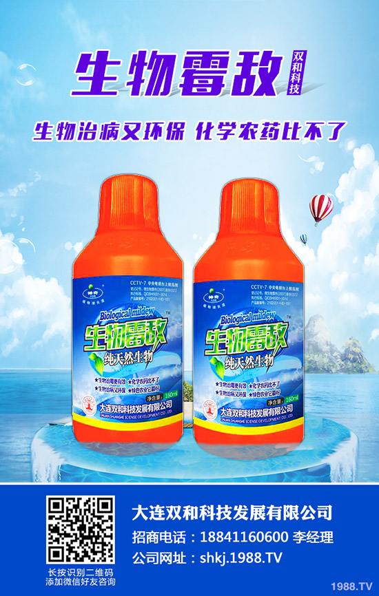 平菇種植其實不難,注意這幾點,產量會很高!