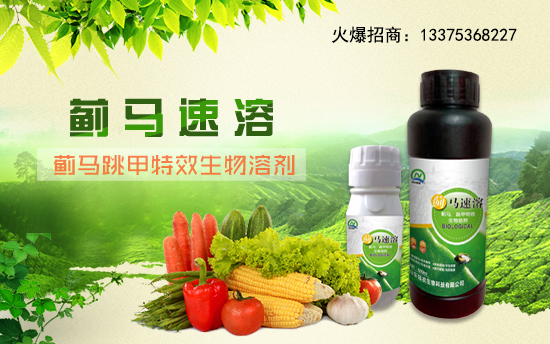 【山東強(qiáng)農(nóng)生物】祝愿一路陪伴的朋友們身體健康,萬事如意!