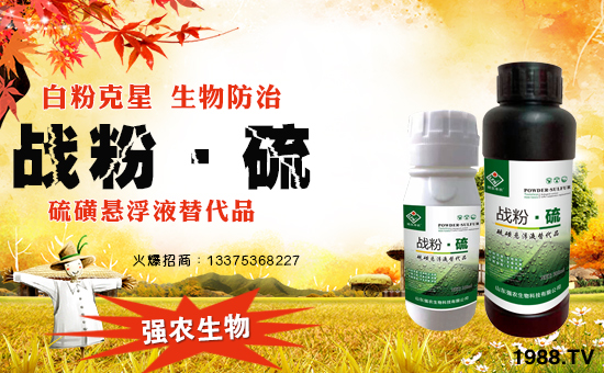 【山東強(qiáng)農(nóng)生物】祝愿一路陪伴的朋友們身體健康,萬事如意!
