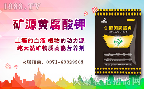 【河山植物】祝愿廣大經(jīng)銷商朋友們在新的一年身體健康,闔家歡樂!