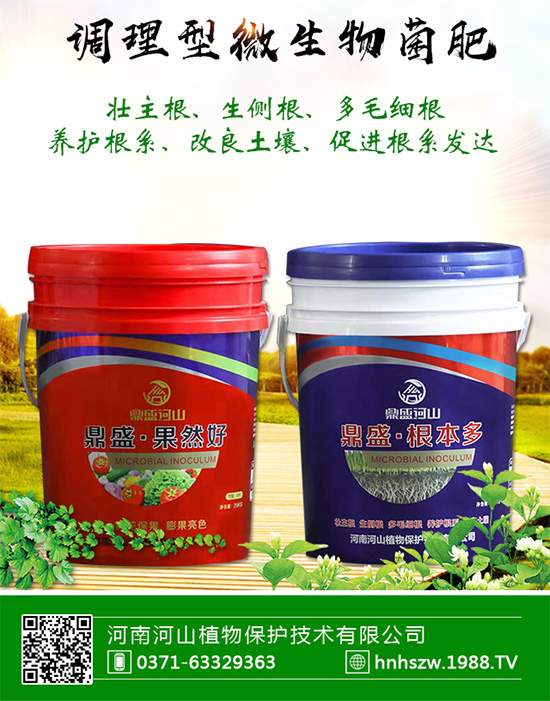 【河山植物】祝愿廣大經(jīng)銷商朋友們在新的一年身體健康,闔家歡樂!