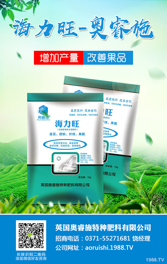 臍橙種植對(duì)環(huán)境有哪些要求?臍橙種植要點(diǎn)有哪些?