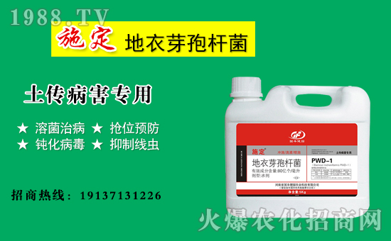 【國豐健園】祝大家在新的一年里身體健康,萬事如意!