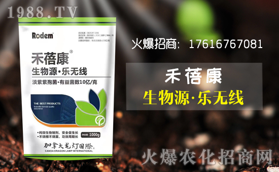 【壽光龍燈】祝全國朋友新年快樂!鼠年大吉!身體健康!財(cái)源廣進(jìn)!