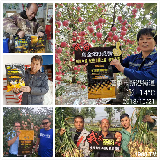 【新疆黑色生態(tài)】全體員工恭祝新老朋友:新年快樂(lè)!萬(wàn)事如意!夜夜“鼠”錢!