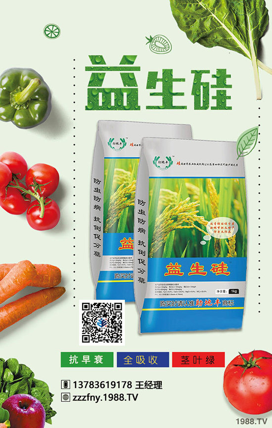 君子蘭秋天怎么合理施肥?不懂的看過(guò)來(lái)!