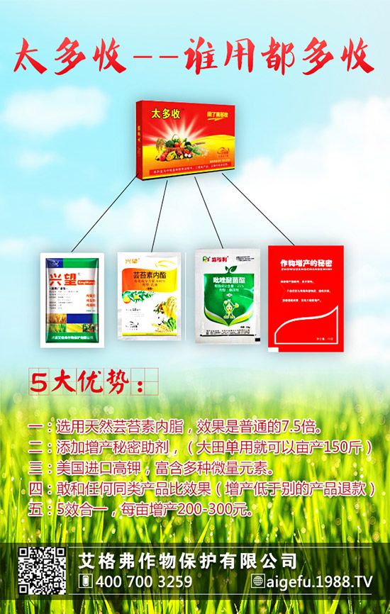 龍眼的種植要求有哪些?龍眼的種植要點(diǎn)!