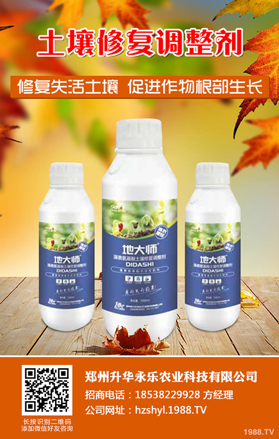 芍藥怎么種,芍藥種植技術(shù)要點(diǎn)有哪些?