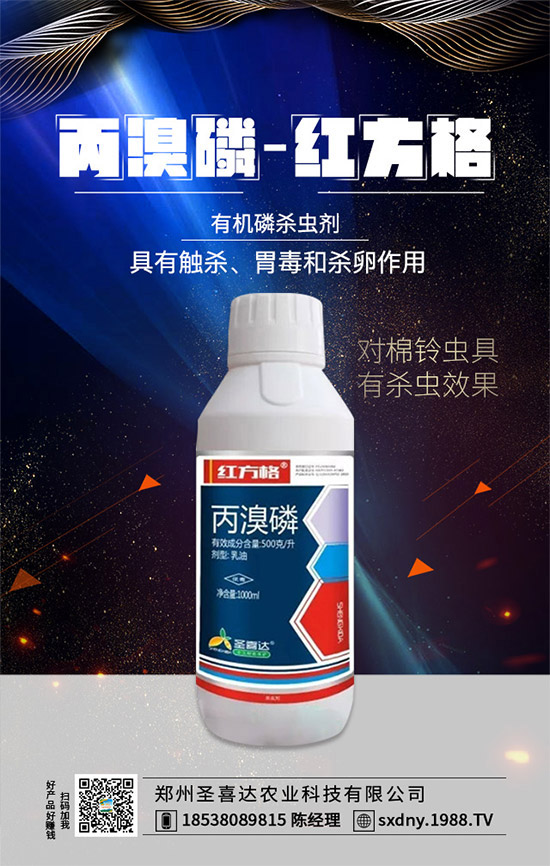 【圣喜達農(nóng)業(yè)】祝大家2020年天天好運到,日日福星照!