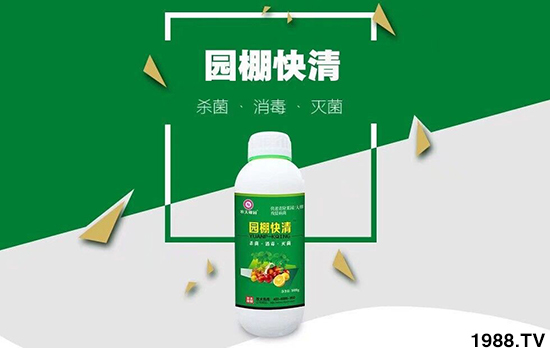 【農(nóng)夫稼園】祝全國(guó)朋友,2020年新年快樂(lè),萬(wàn)事如意!財(cái)運(yùn)兩旺!