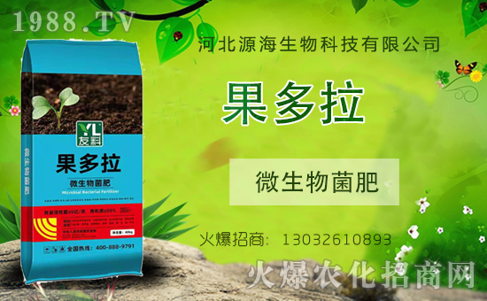 【河北源!孔4蠹倚履昕鞓罚腋i_心,年年有福!