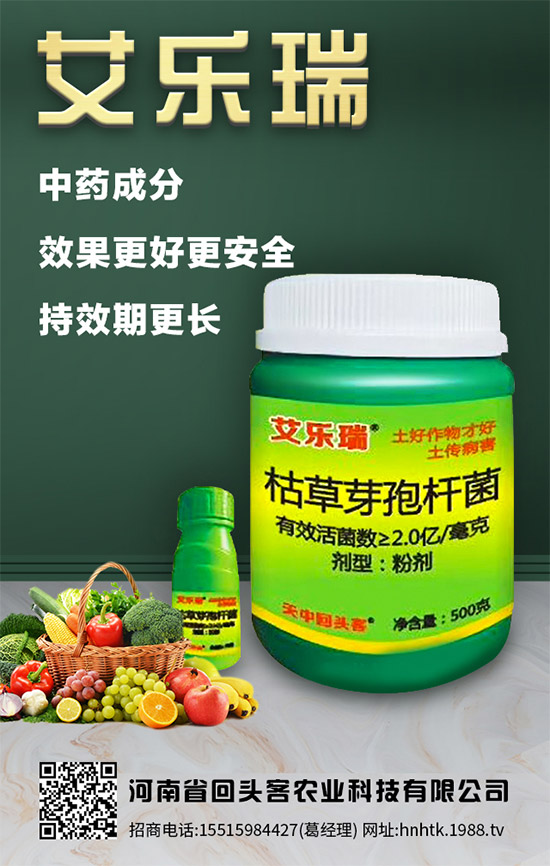 【回頭客農(nóng)業(yè)】祝您及您的家人:鼠年好運(yùn)擋不住,鼠年財(cái)源滾滾來!