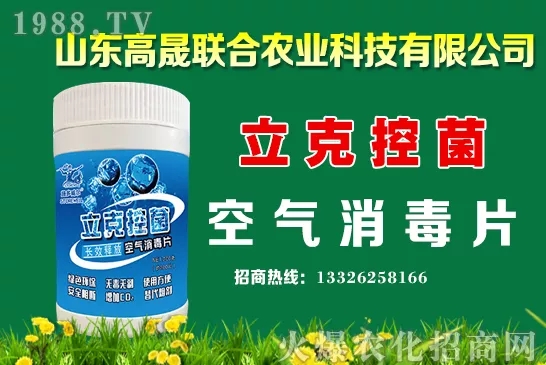 2020年10月13日國內(nèi)小麥價(jià)格行情