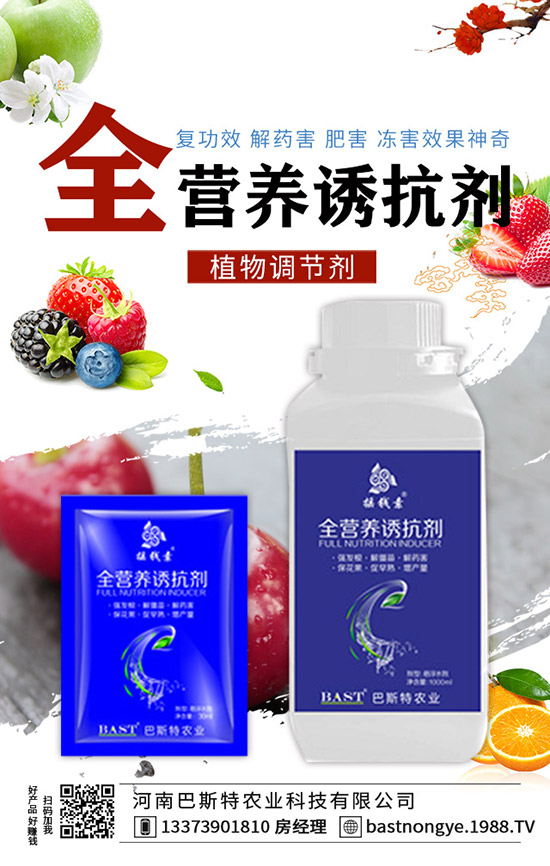 結球甘藍怎么施肥,結球甘藍的施肥技術!