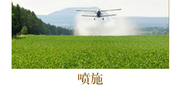 中藥材營養(yǎng)快補-含腐植酸水溶肥-北美農(nóng)大_13