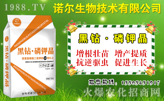 大棚菜豆如何施肥?菜豆需肥特點與施肥技術(shù)!