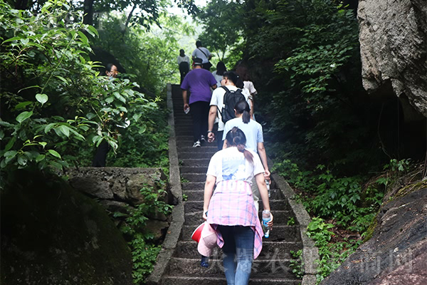 路在腳下夢在心中