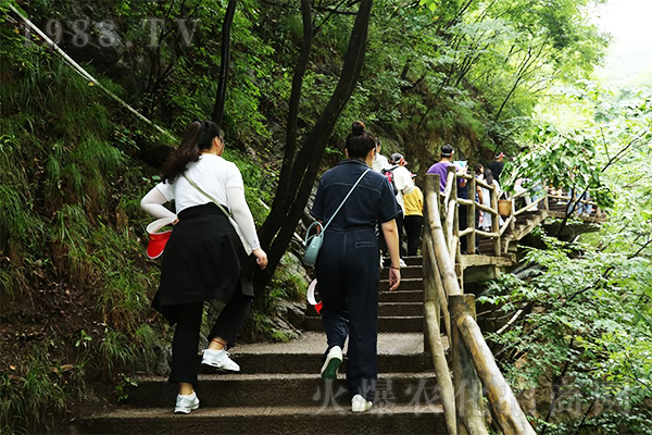 心之旅,風(fēng)之行