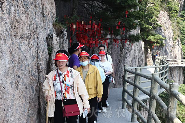 以道御術,大道至簡