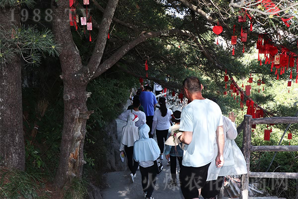 如詩(shī)如畫,四季皆美景
