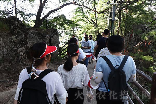 登老君山,學國學文化!