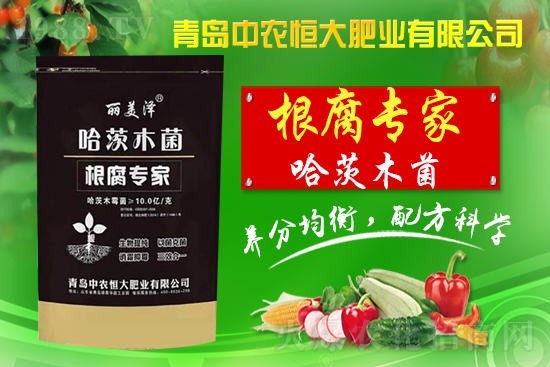 【中農(nóng)恒大】祝全國人民新年快樂,虎氣十足,財(cái)源滾滾!