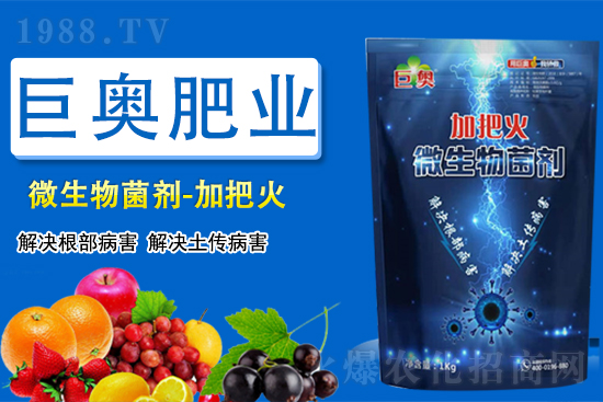 【巨奧肥業(yè)】祝大家在新的一年虎虎生威,笑口常開,財源廣進!