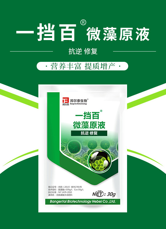 新年快樂