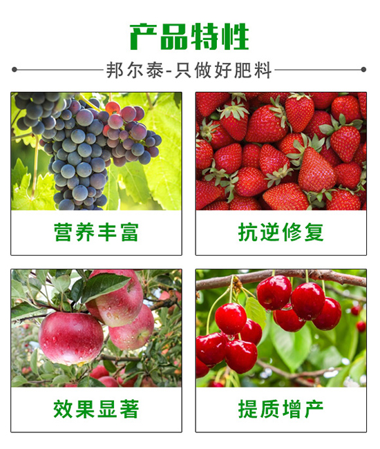新年快樂