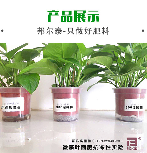 新年快樂