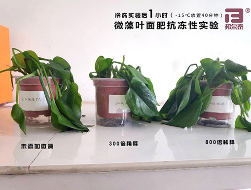 新年快樂