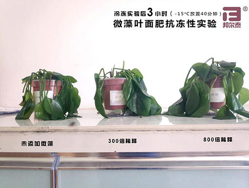 新年快樂