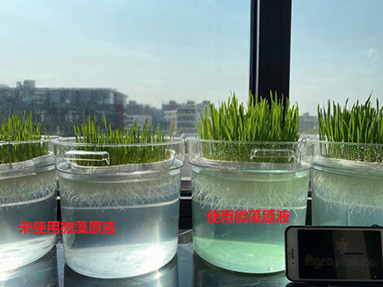 新年快樂