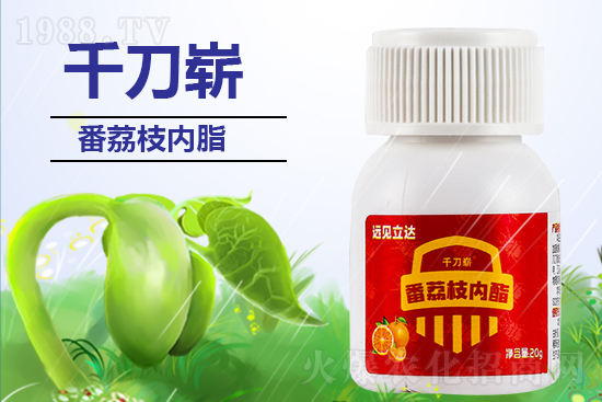 【有機化工廠】祝您新年更有新氣象!在新的一年里大展宏圖!