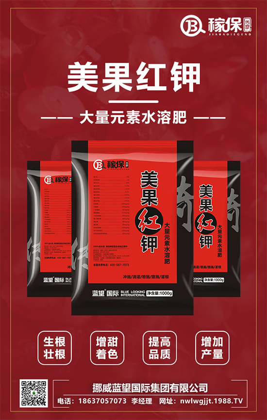 【挪威藍(lán)望】恭祝新老朋友新年快樂(lè),虎年吉祥!2022財(cái)源滾滾!