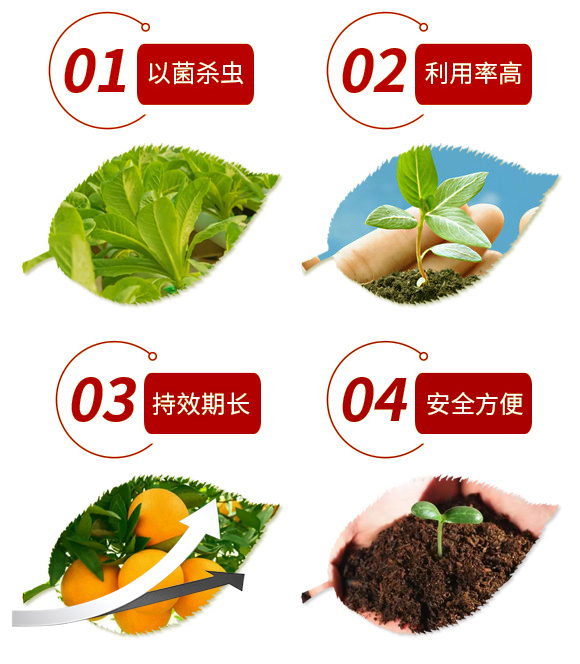 河北大化_01_03
