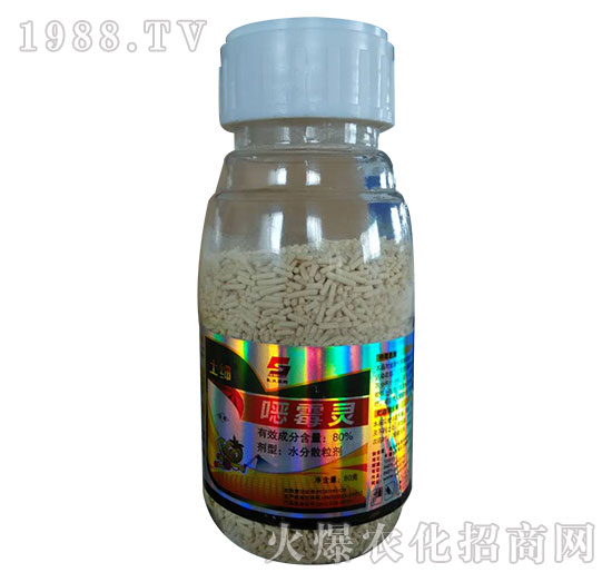 80g80%fù`--L(zhng)p