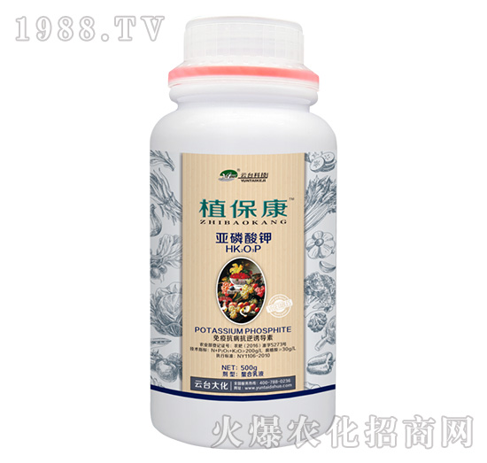 500gֲ-_(ti)