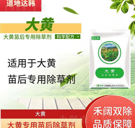 S݄-S-S(zhun)-n