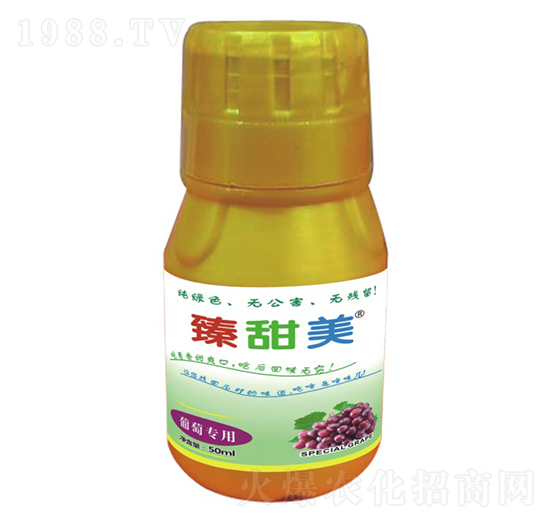 ь(zhun)  ʢ