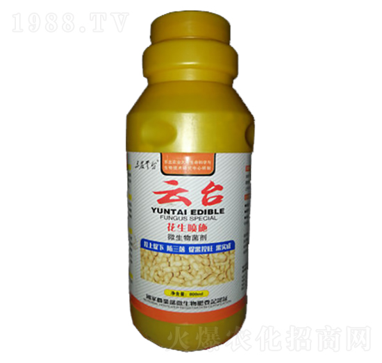 ʩ(zhun)΢-_(ti)