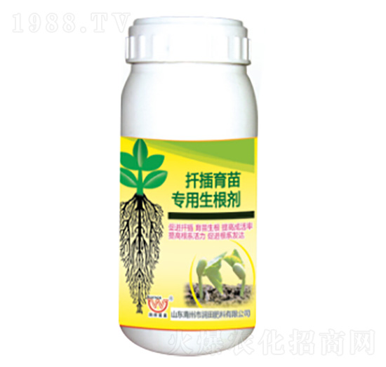 猣(zhun)-(rn)